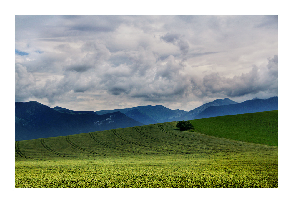 Felder und Berge