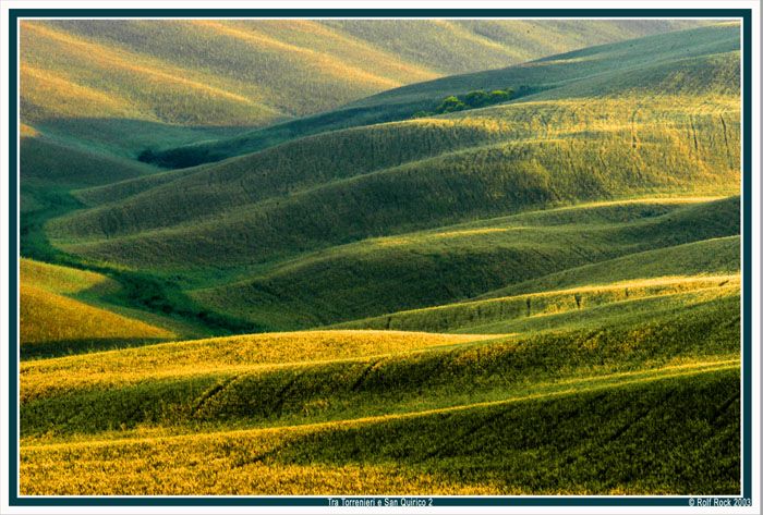 Felder und Hügel bei Pienza