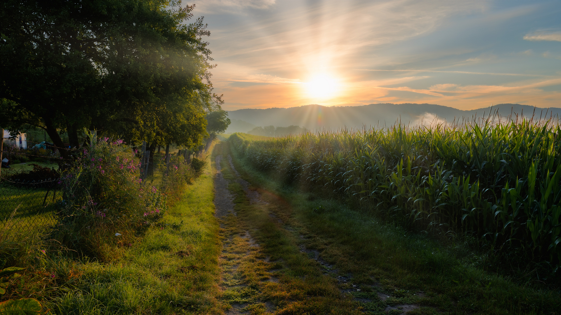 Felder und Wege