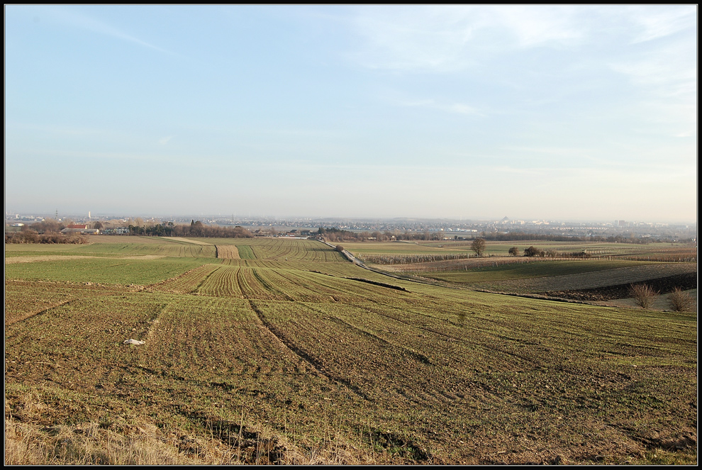 Felder und Weingärten in Stammersdorf