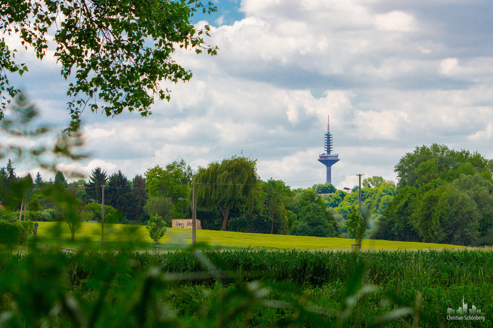 Felder und Wiesen rund um den „Ginnheimer Spargel“