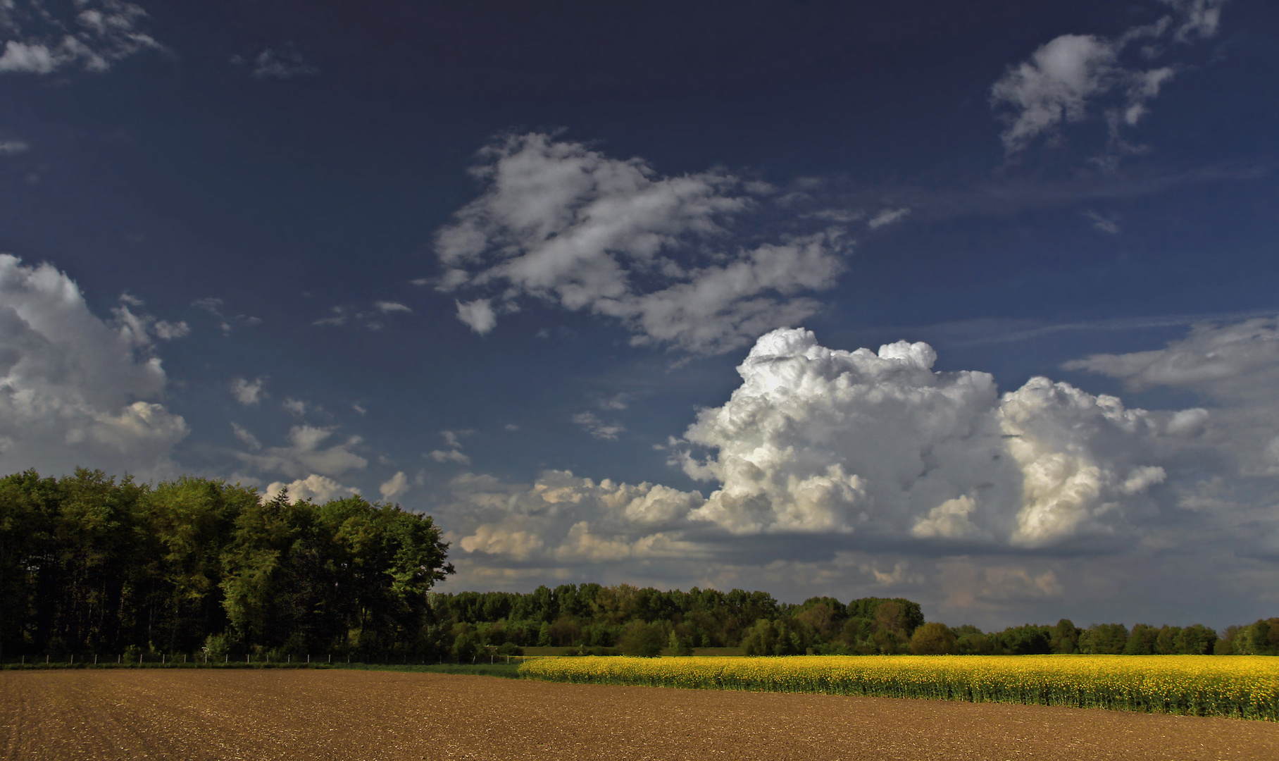 Felder und Wolken