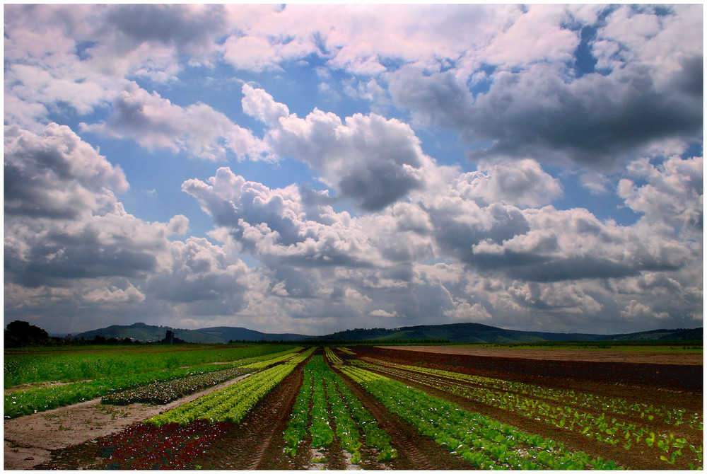 Felder und Wolken