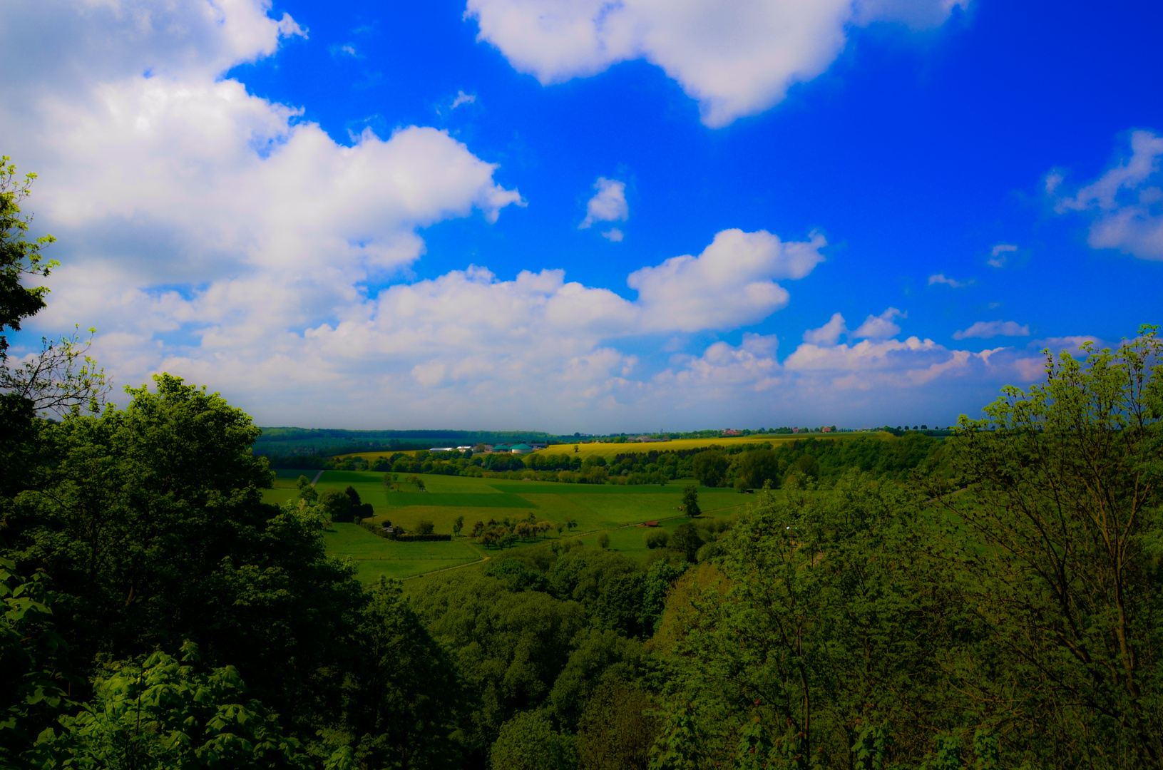 Felder unter blauem Himmel in Westfalen