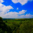 Felder unter blauem Himmel in Westfalen