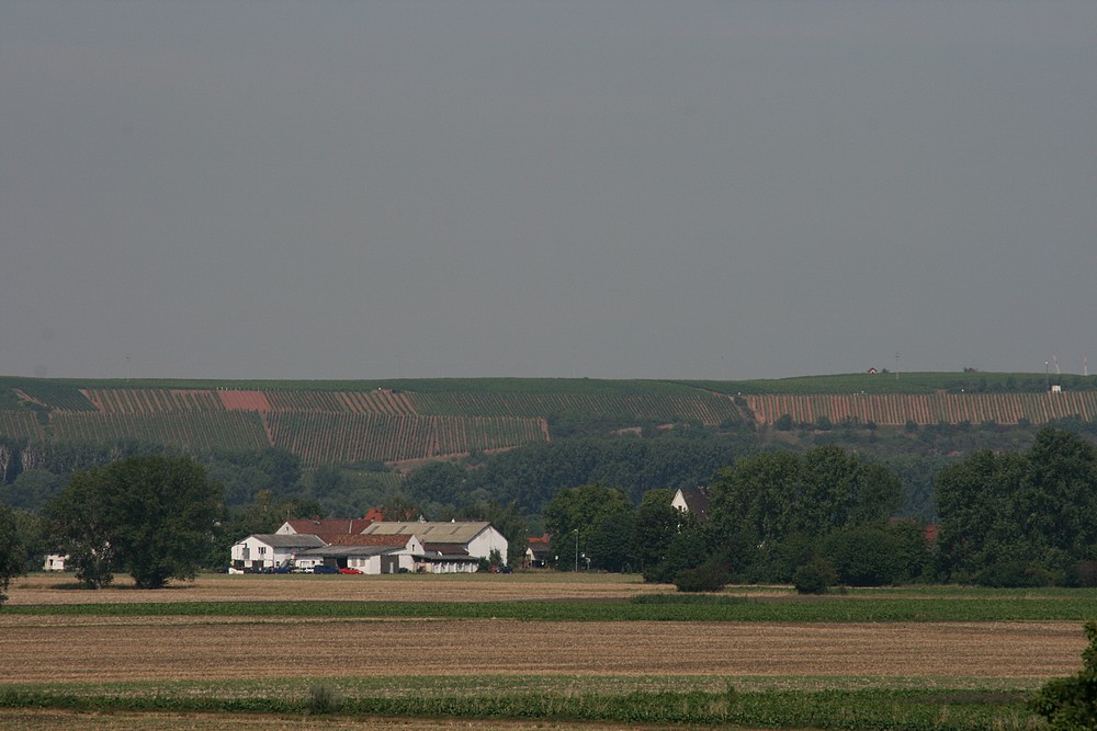 Felder von Trebur...