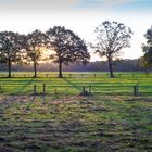 Felder vor dem Wald Klövensteen