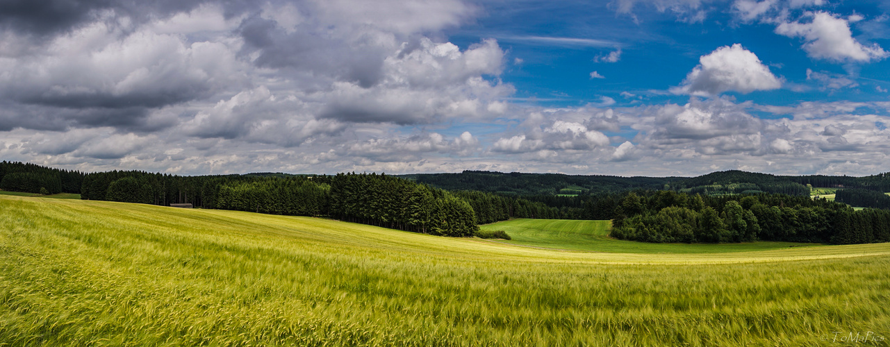 Felder, Wald und Wiesen