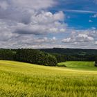 Felder, Wald und Wiesen