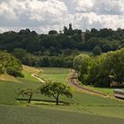 felder, wiesen und wälder