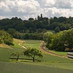 felder, wiesen und wälder