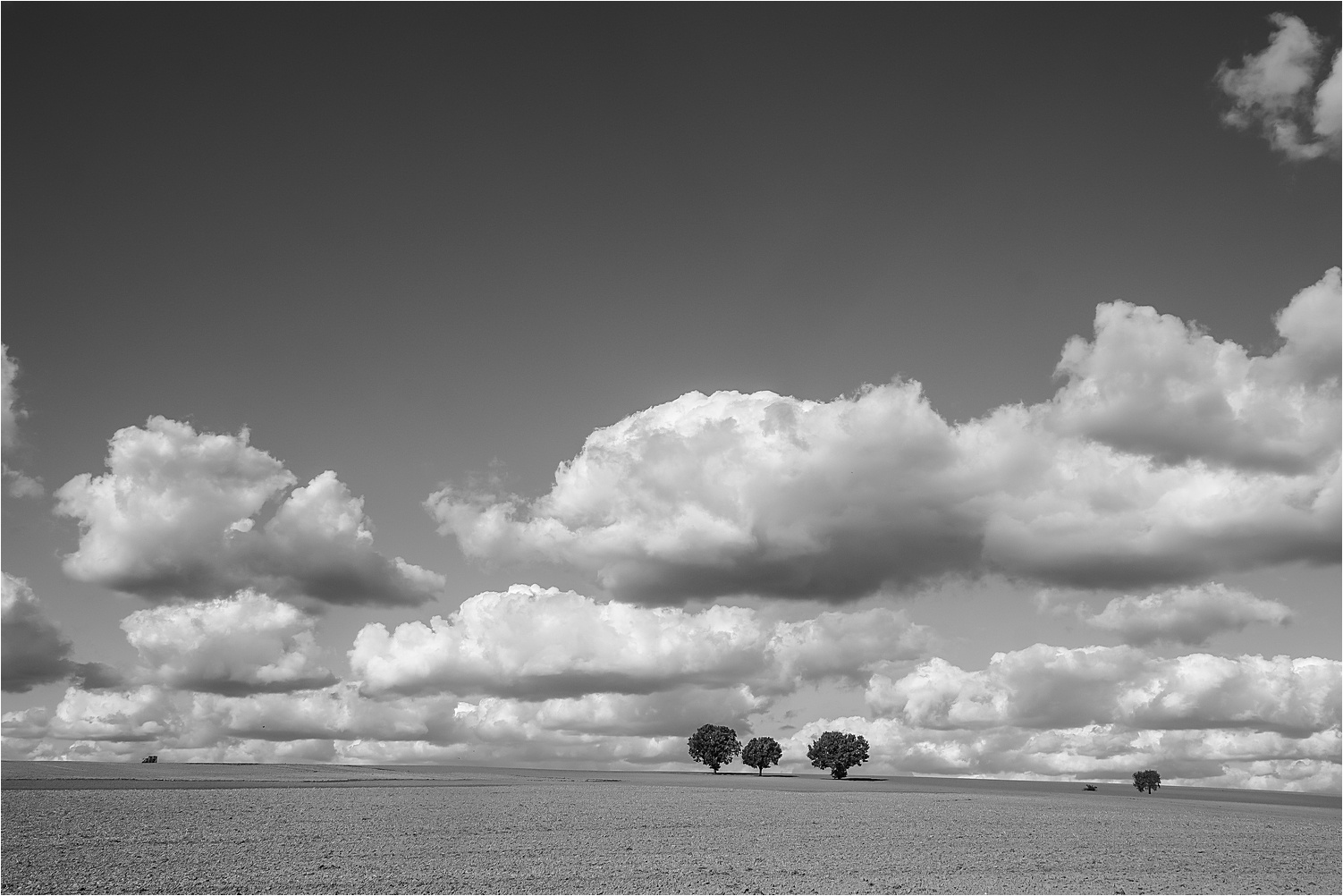 Felder, Wolken und ein paar Bäume