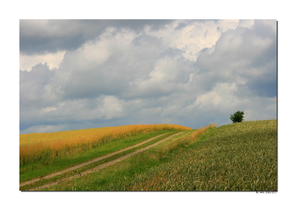 Felder, Wolken und Sonnenlicht...