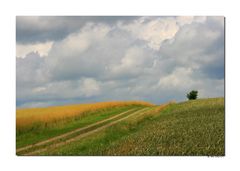 Felder, Wolken und Sonnenlicht...