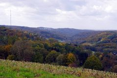 Felderbachtal bei Langenberg NRW