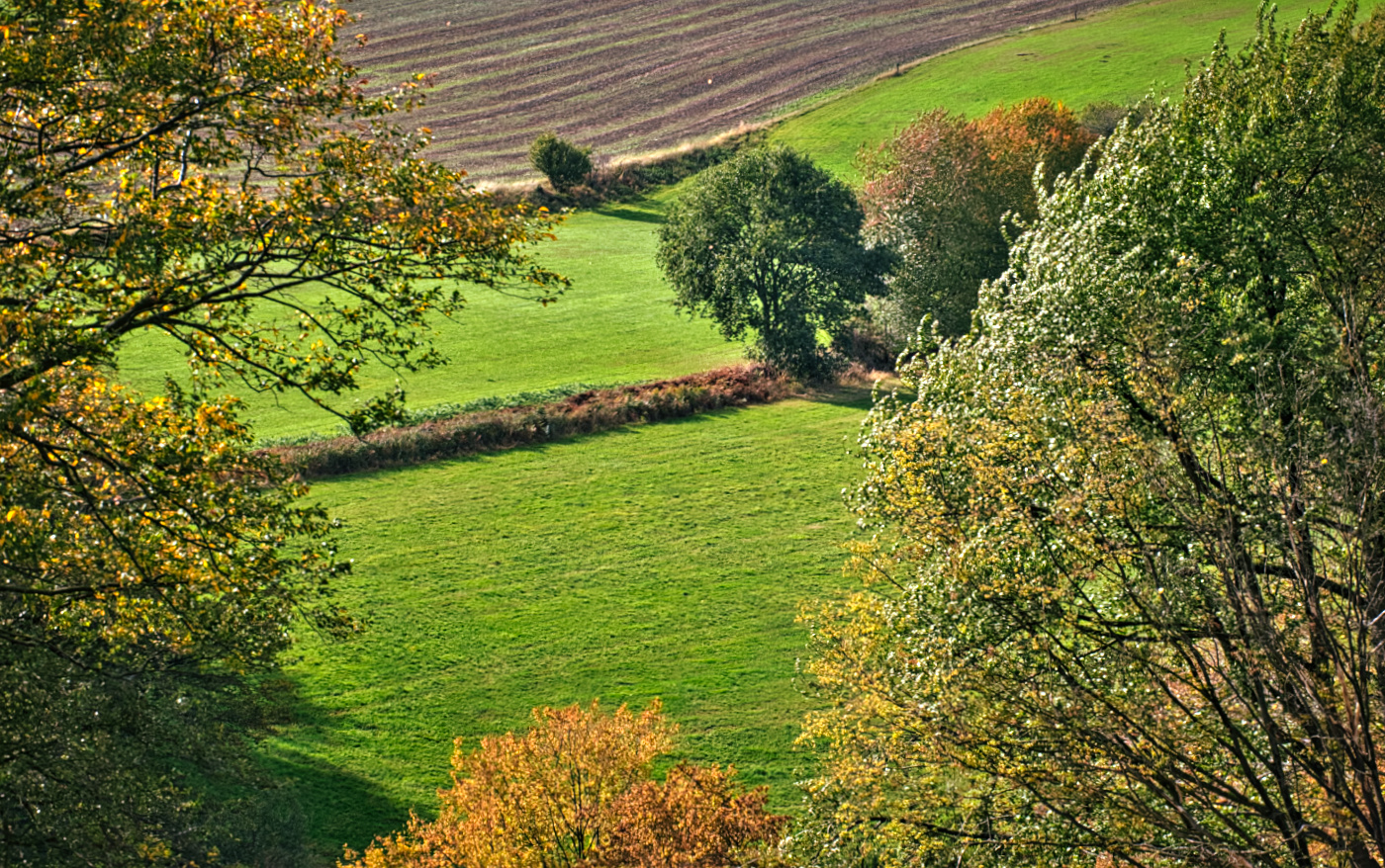 Felderblick