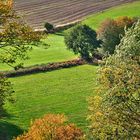 Felderblick