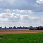 Felderlandschaft in Itter