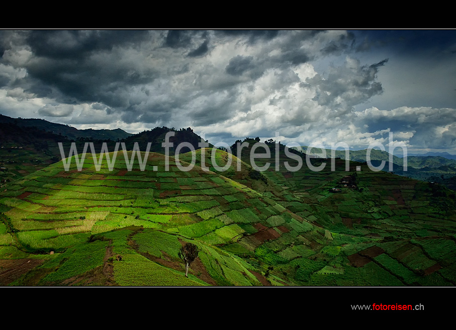 Felderlandschaft in Uganda