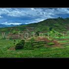 Felderlandschaft in Uganda Panorama