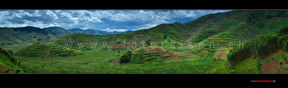 Felderlandschaft in Uganda Panorama