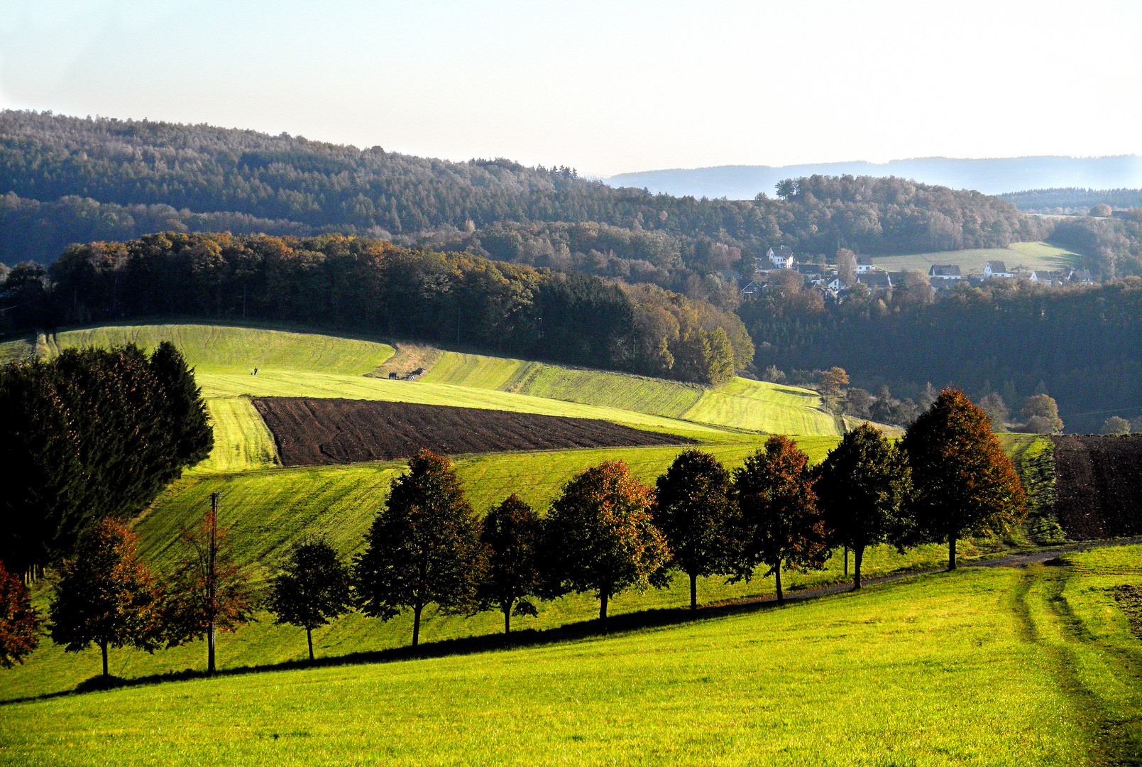 Felderwiesen Undwälder Foto And Bild Landschaft Äcker Felder