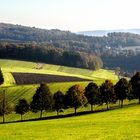 Felder...Wiesen und...Wälder...