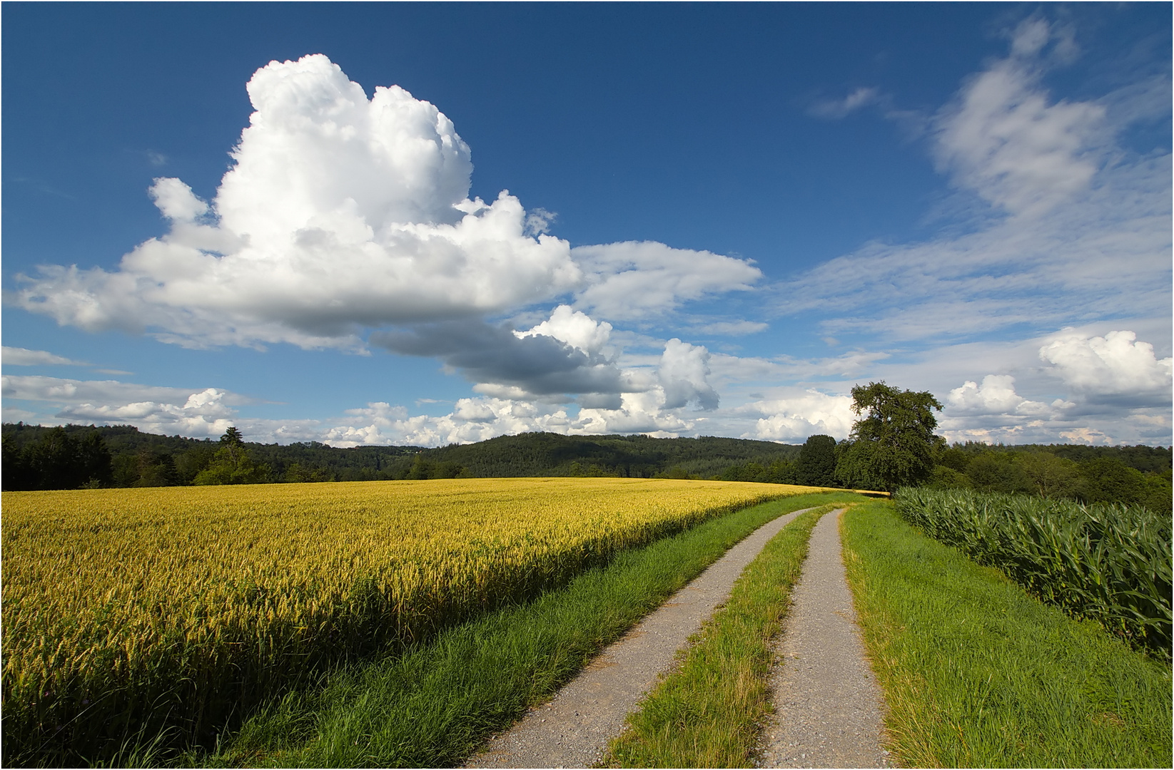 Felder&Wolken