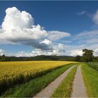 Felder&Wolken