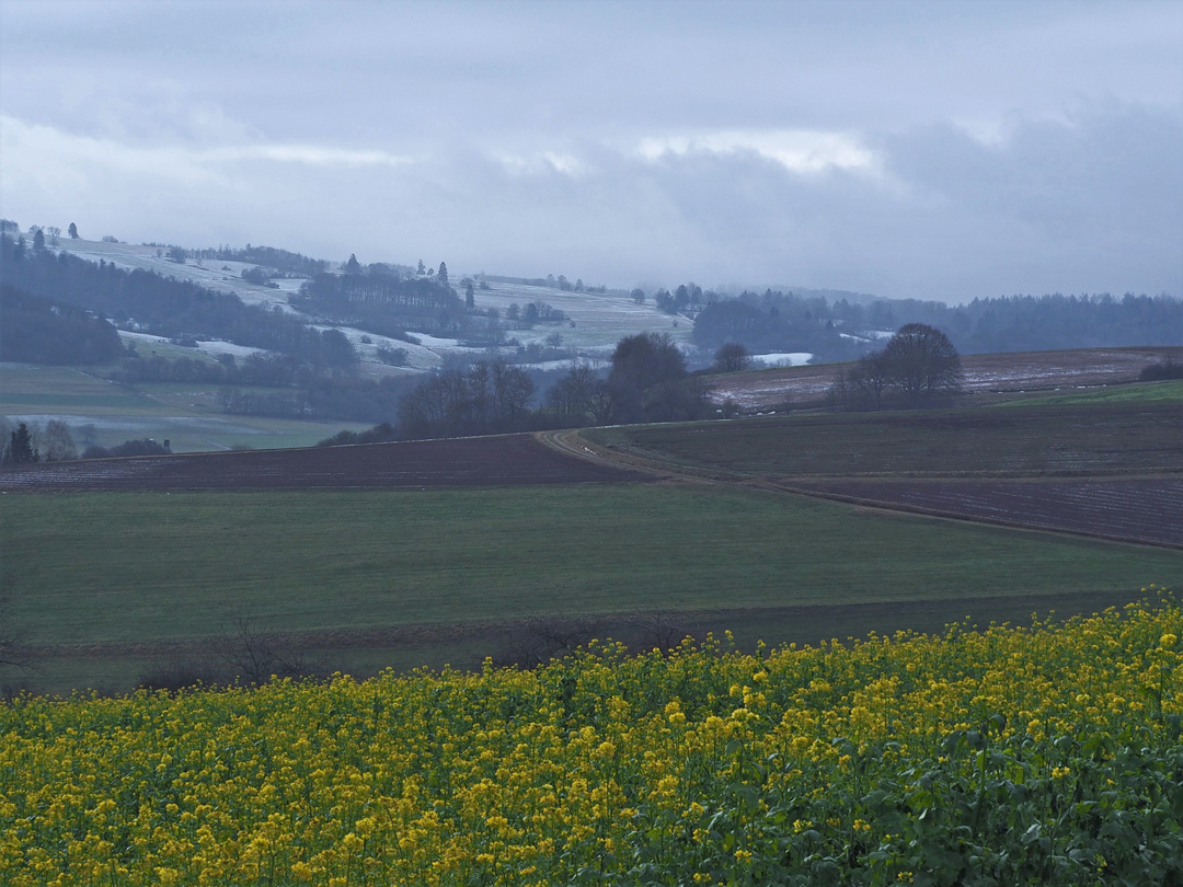 Feldflur am Eisenberg