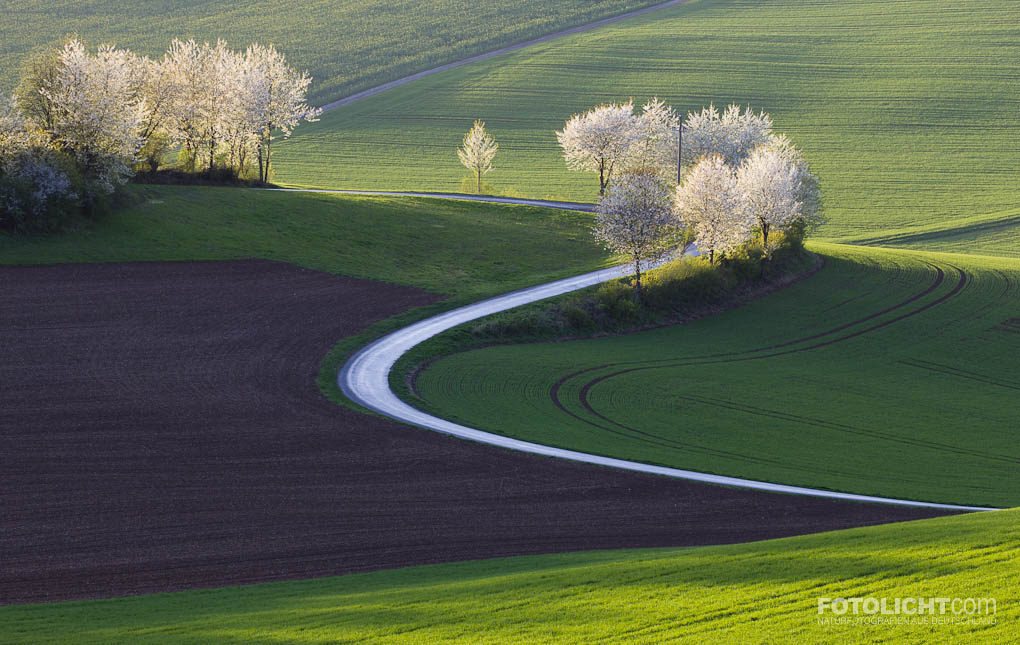 Feldflur im April