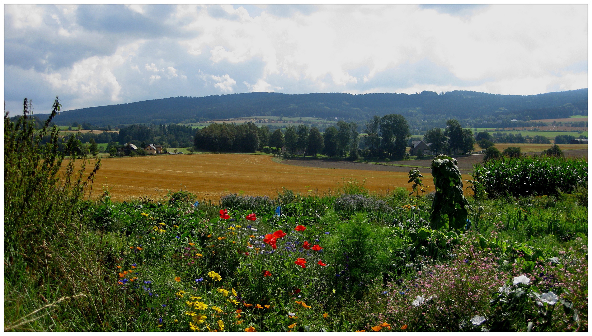 Feldgarten