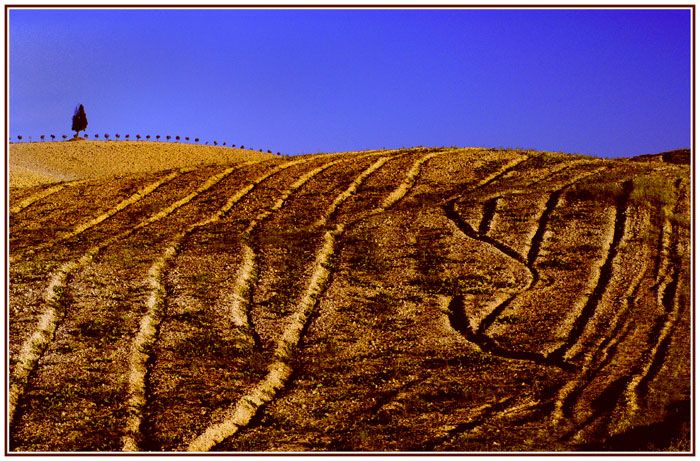 Feldgrafik in val d'Orcia