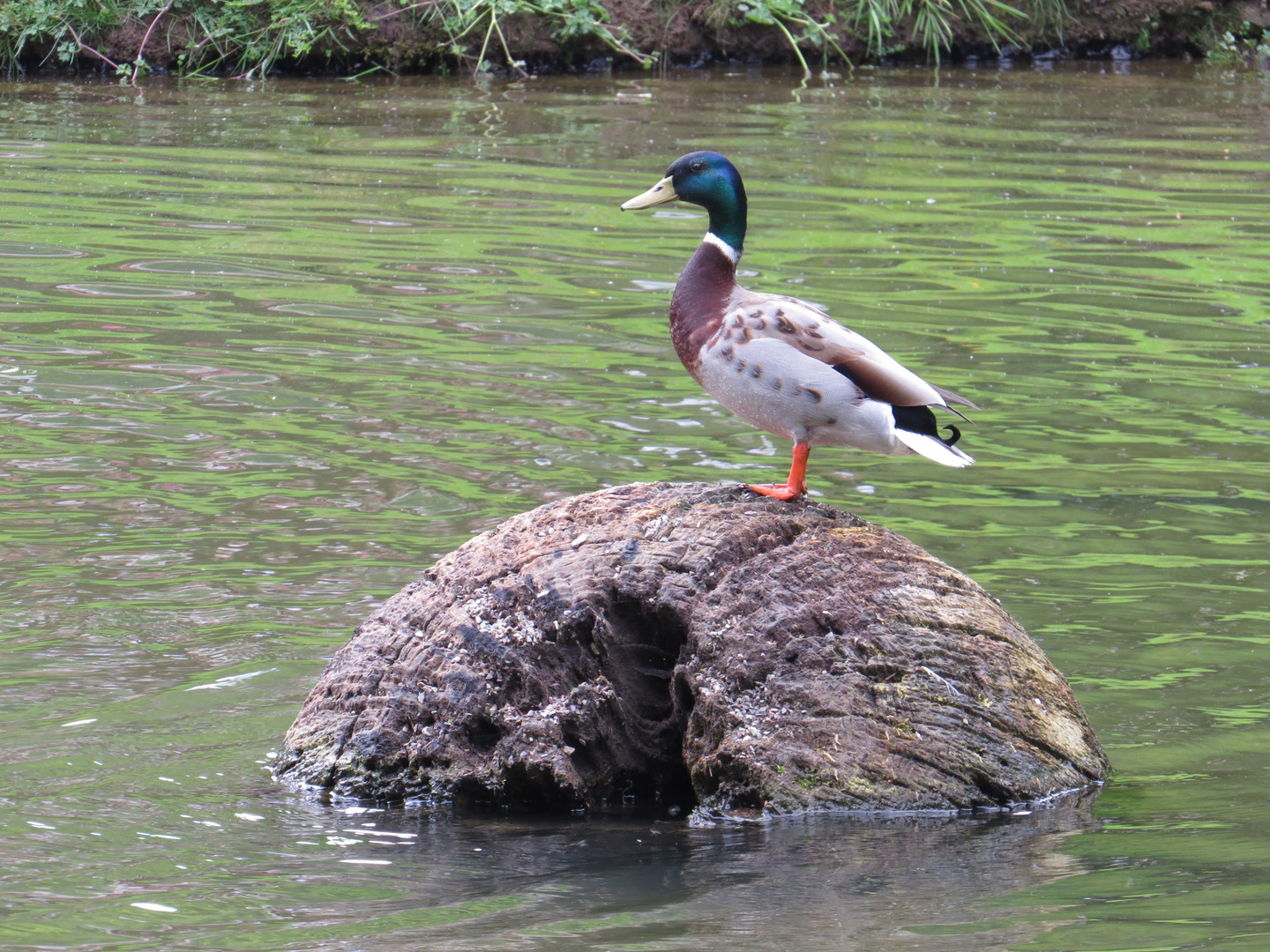 "Feldherrenhügel"