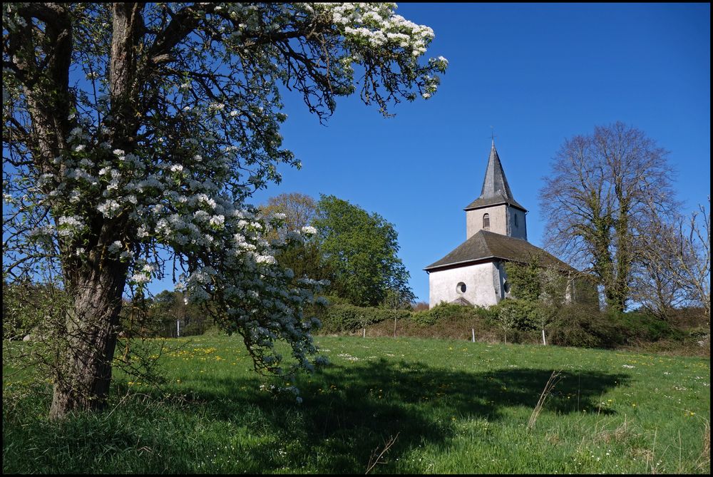 Feldkirche