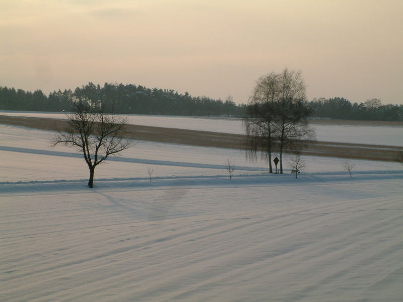 Feldkreuz am Mitterweg (Pörnbacher Flur)