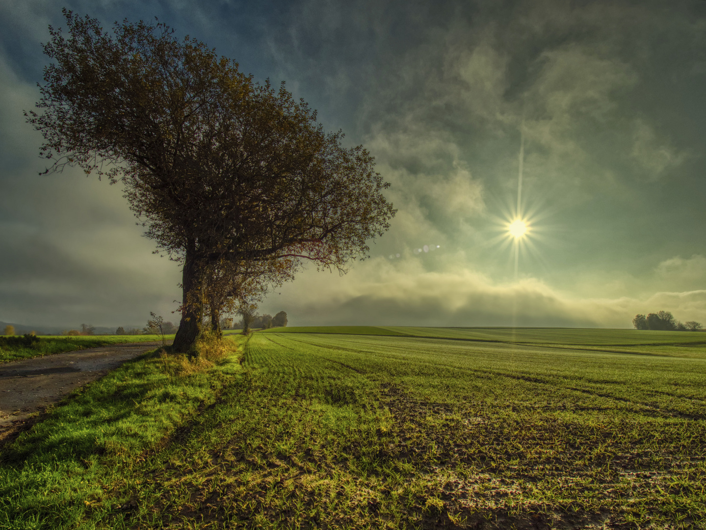 Feldlandschaft