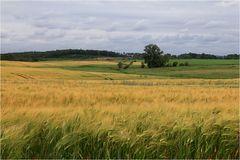 Feldlandschaft 2