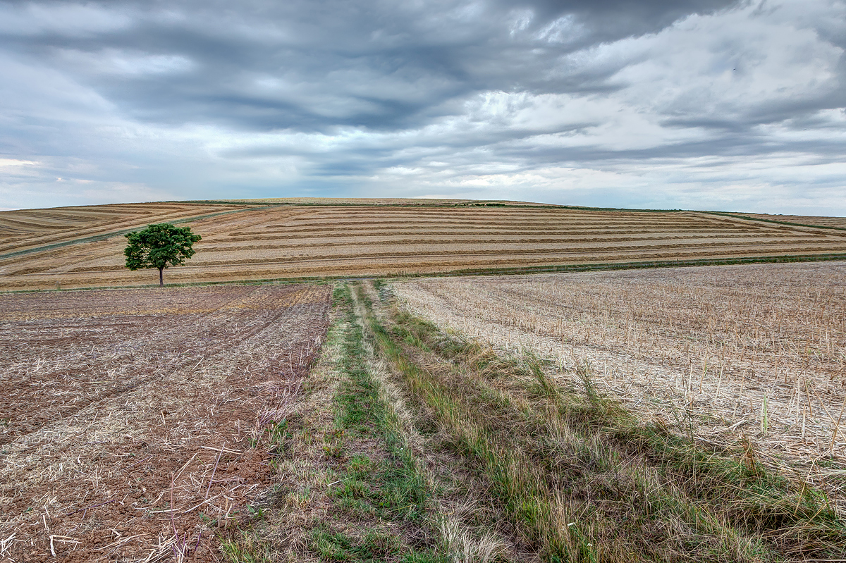 Feldlandschaft