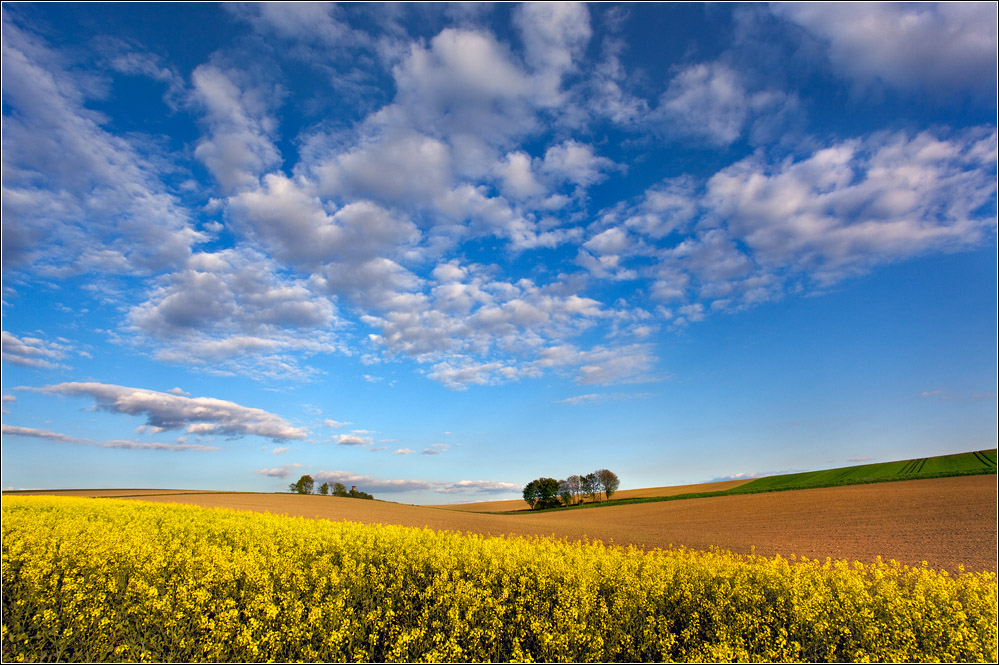 Feldlandschaft - 3.Platz "Deutsche Landschaften"