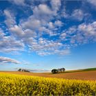 Feldlandschaft - 3.Platz "Deutsche Landschaften"