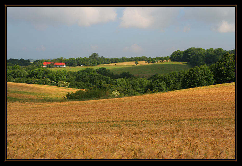 Feldlandschaft....