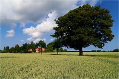 Feldlandschaft