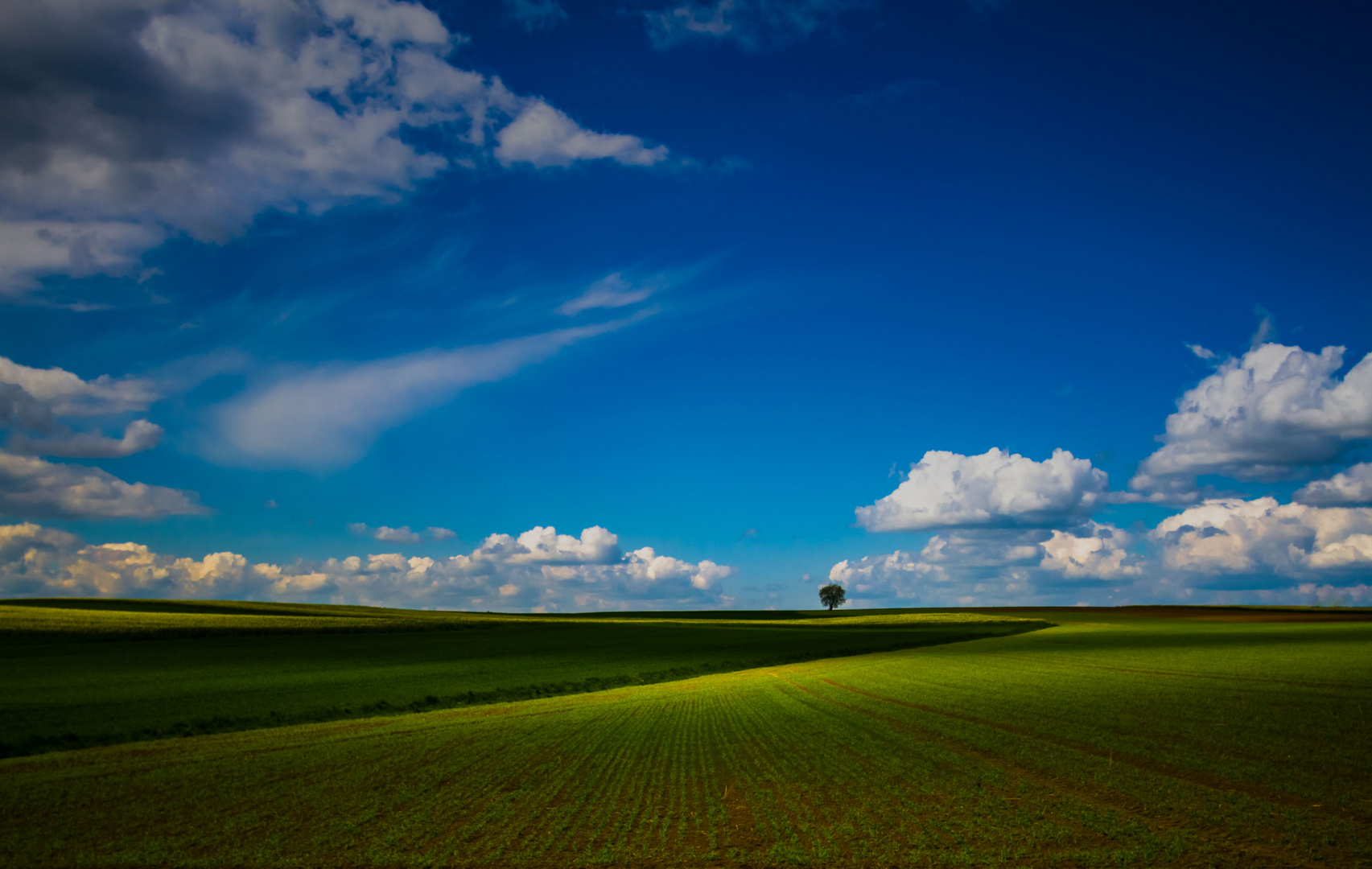 Feldlandschaft