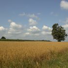 Feldlandschaft bei Schwarzenberg