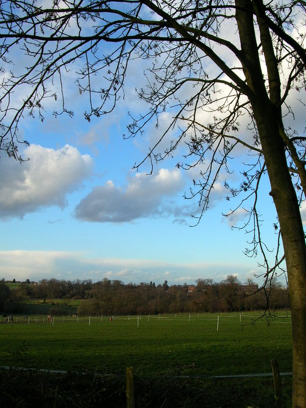 Feldlandschaft in England