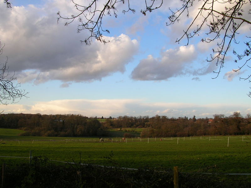 Feldlandschaft in England, Pferde Weide