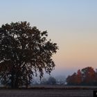 Feldmark im Morgennebel