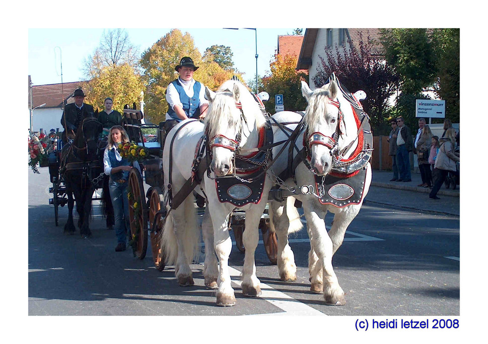 Feldmochinger Rosstag 2008 - 2 -