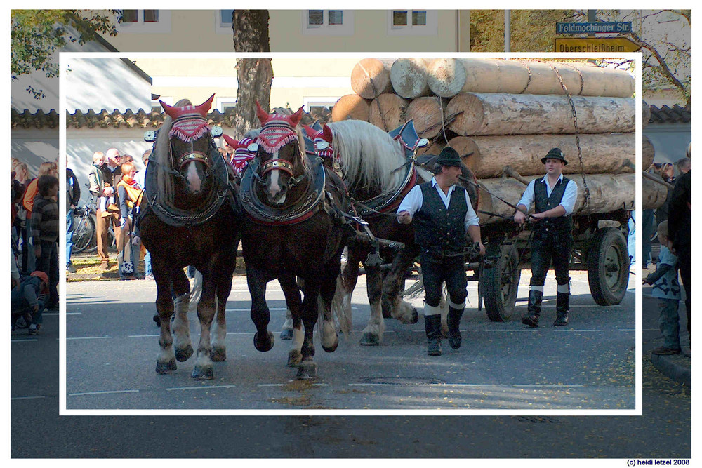 Feldmochinger Rosstag 2008